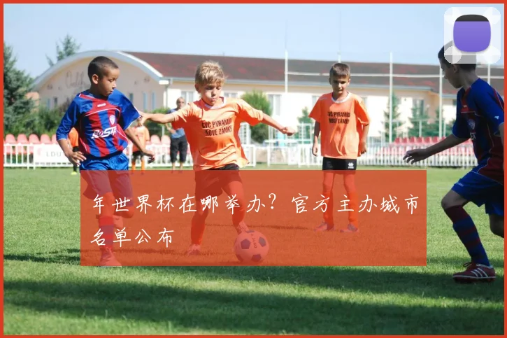 年世界杯在哪举办？官方主办城市名单公布