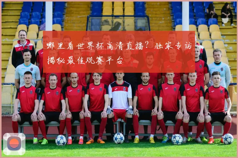 哪里看世界杯高清直播？独家专访揭秘最佳观赛平台