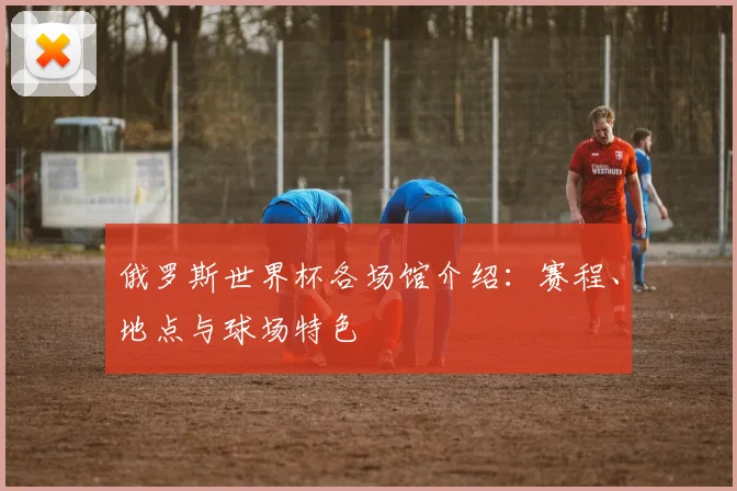 俄罗斯世界杯各场馆介绍:赛程、地点与球场特色