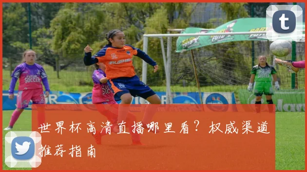 世界杯高清直播哪里看？权威渠道推荐指南