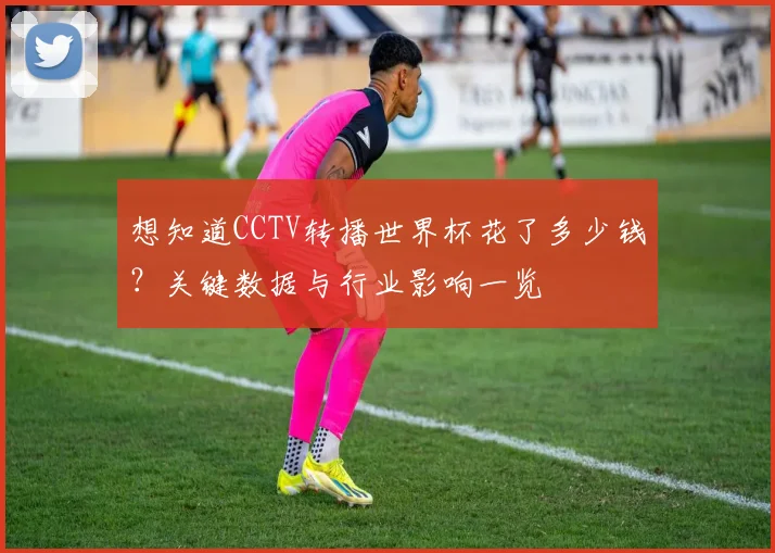 想知道CCTV转播世界杯花了多少钱？关键数据与行业影响一览
