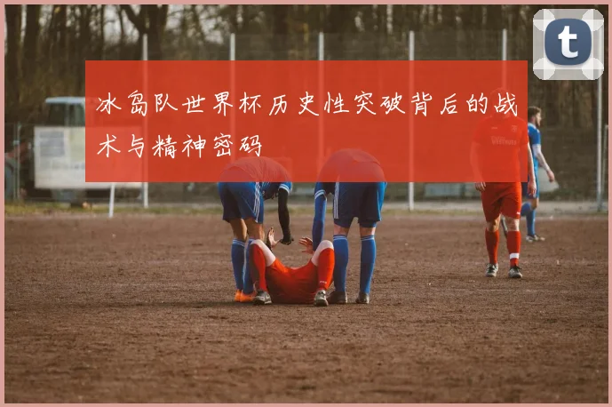 冰岛队世界杯历史性突破背后的战术与精神密码