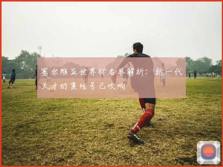 塞尔维亚世界杯名单解析：新一代天才的集结号已吹响