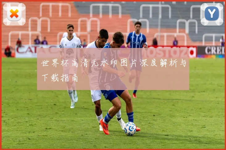 世界杯高清无水印图片深度解析与下载指南