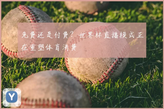 免费还是付费?世界杯直播模式正在重塑体育消费