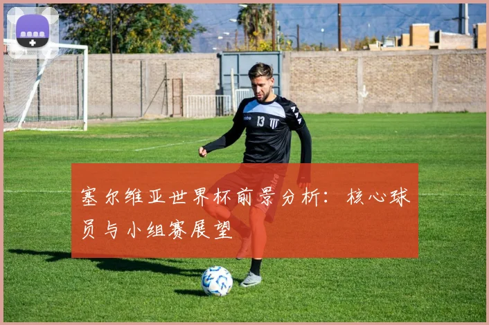塞尔维亚世界杯前景分析:核心球员与小组赛展望